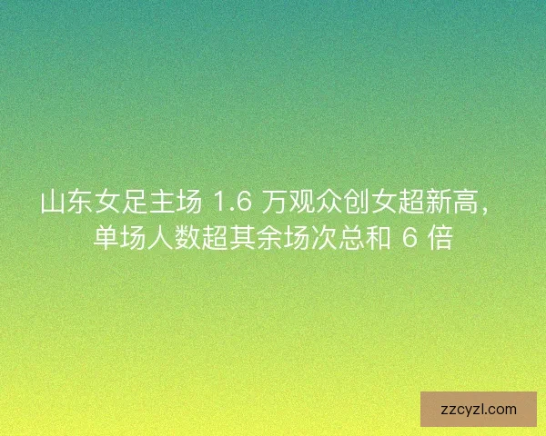 山东女足主场 1.6 万观众创女超新高，单场人数超其余场次总和 6 倍
