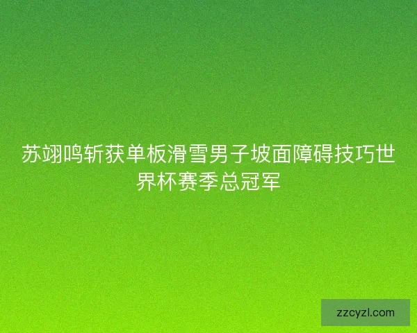 苏翊鸣斩获单板滑雪男子坡面障碍技巧世界杯赛季总冠军